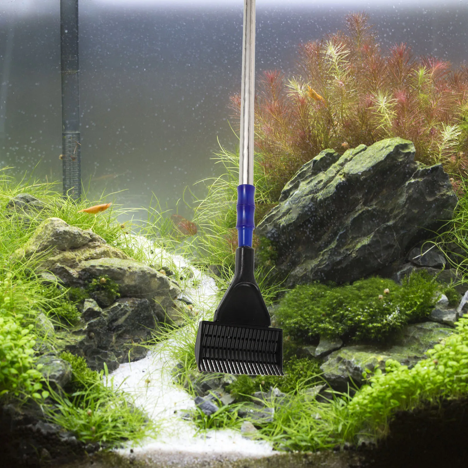 

Aquarium Fish Tank Cleaning Kit Five-in-One Set Black Durable Practical Detachable Design Safe for Fish Tanks and Grass