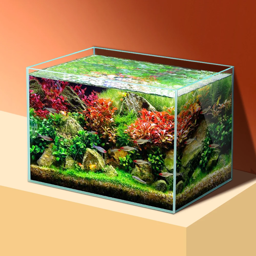 Pet Supplies Fish - حوض سمك زجاجي فائق البياض عالي