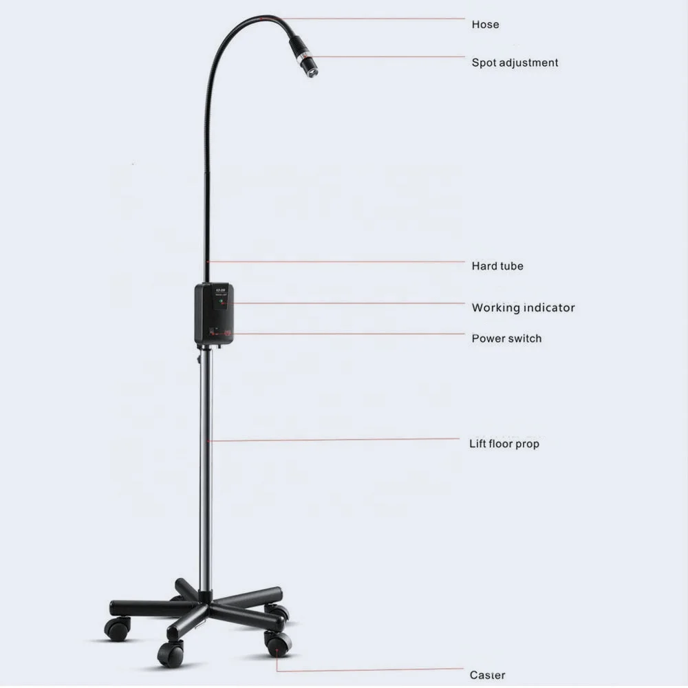 5W LED High Brightness Adjustable Dental Gynaecology Pet Tattoo Wall-mounted Examination Lamp