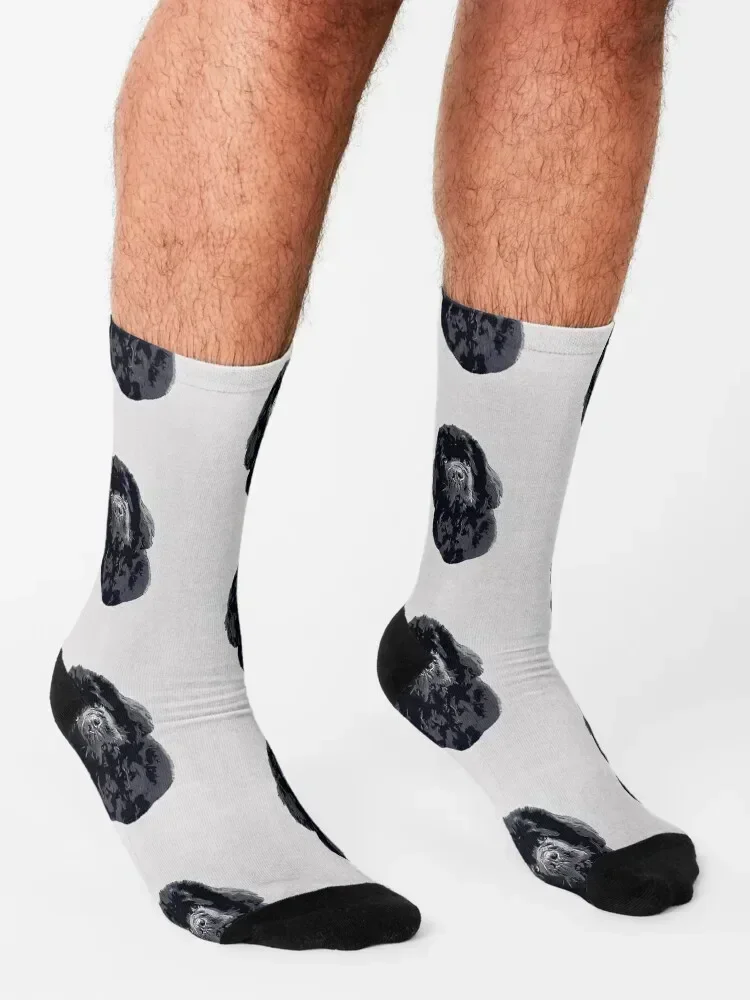 Newfoundland Cute Head Tilt Socks set funny gifts floor Lots Male Socks Women's