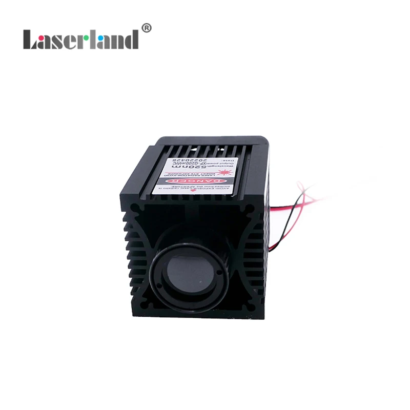 Modulo laser a diodi verdi da 520 nm 200 mw per effetti scenici Spaventa uccelli/animali Sala di fuga Casa stregata