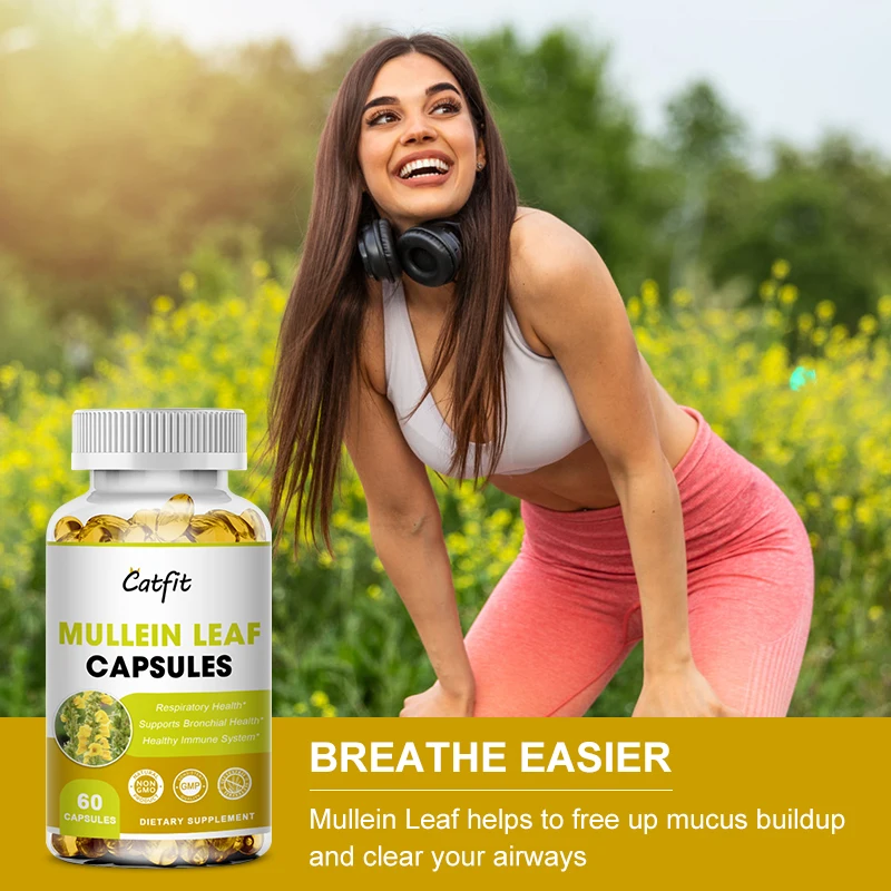 Catfit Natural 1500mg Mullein Leaf Capsules Clear Lungs Relieve Cough Digestive Health care Pain Relief Immune Mullein extract