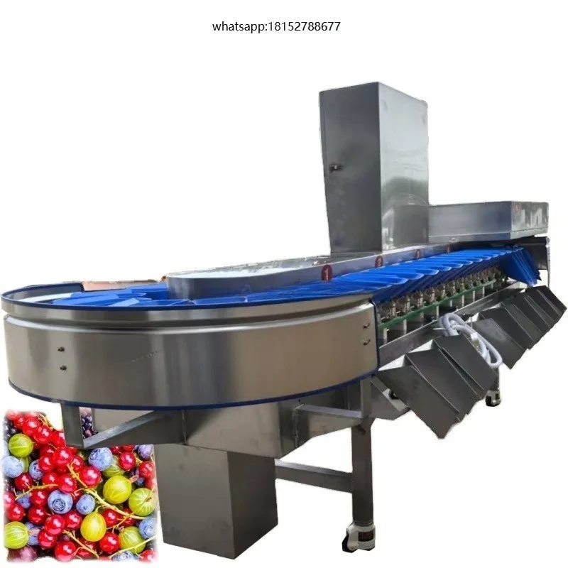 Industrial Food Grade Weighing Sorting Device Machine Dynamic  System