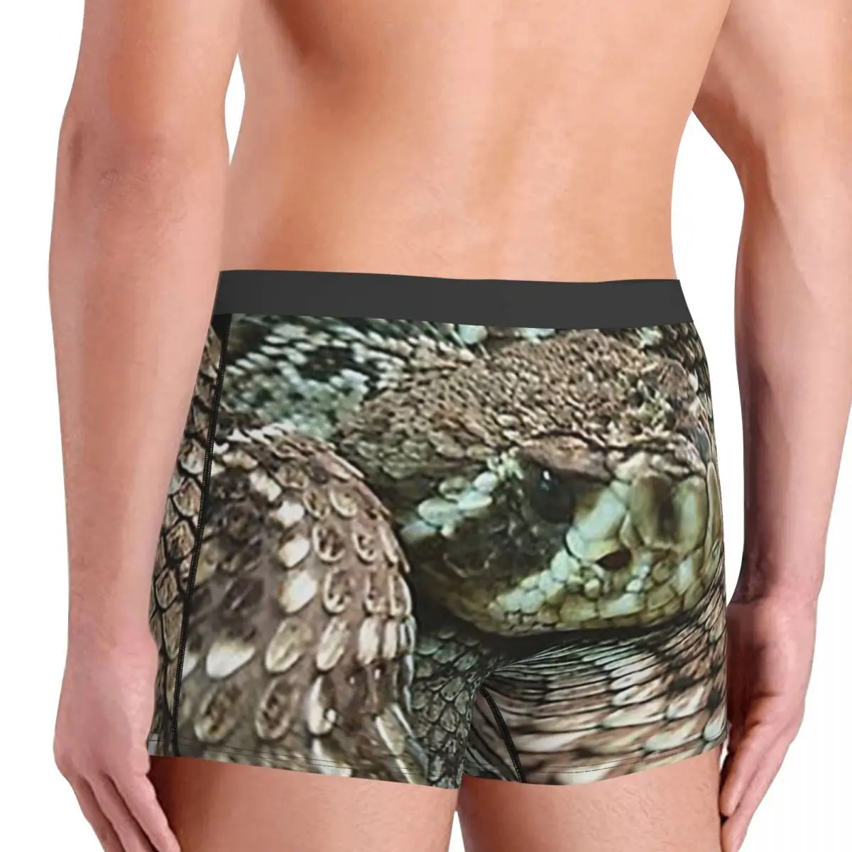 복서 팬티 반바지 뱀, 코일 다이아몬드백 방울뱀 팬티 남성용 통기성 속옷 남성용 남자친구 선물