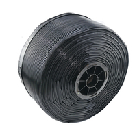 30m PE Drip Irrigation Tape 16MM Surface Mounted with Two Holes 0.2MM Thickness Hole Spaced 10CM for Garden Watering