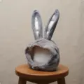 Grey Long Ear