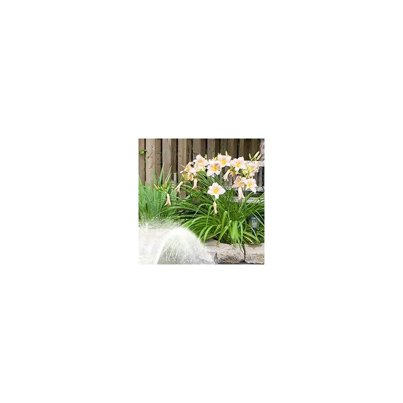 Bomba de Água Solar 18V 30W para Decoração de Jardim, Mini Bomba Solar com Painel Solar, Sistema de Irrigação, Kits de Economia de Energia para Aquário
