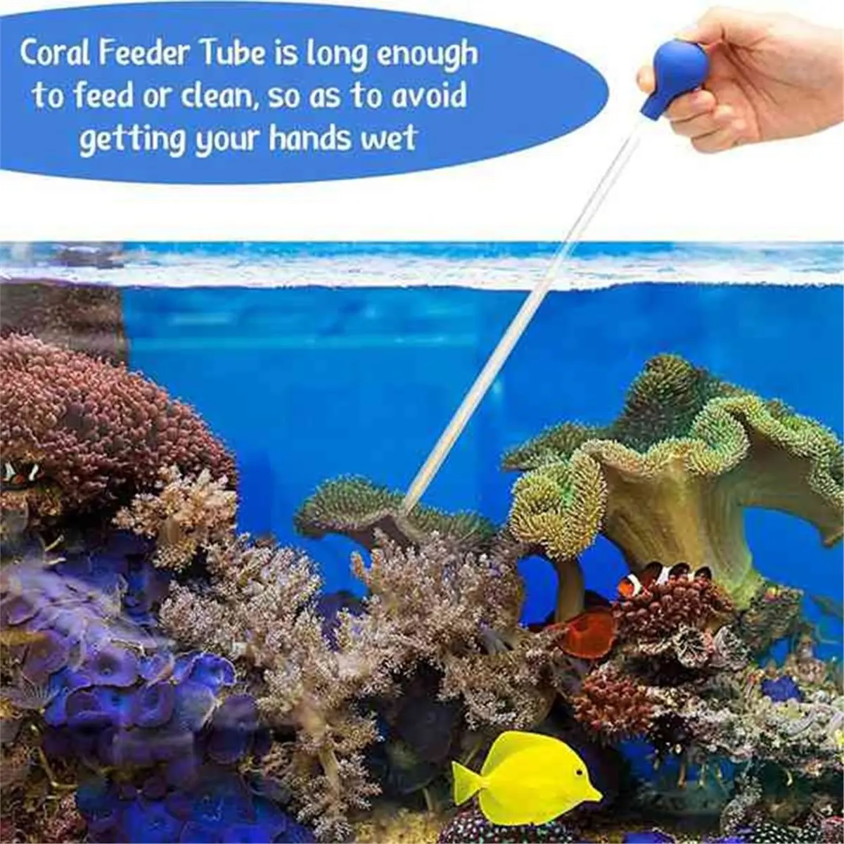 2026 NEW 4 in 1 Aquarium Coral Feeder Kit with Coral Feeders Tweezers Fish Feeding Tongs Tweezers for Spider
