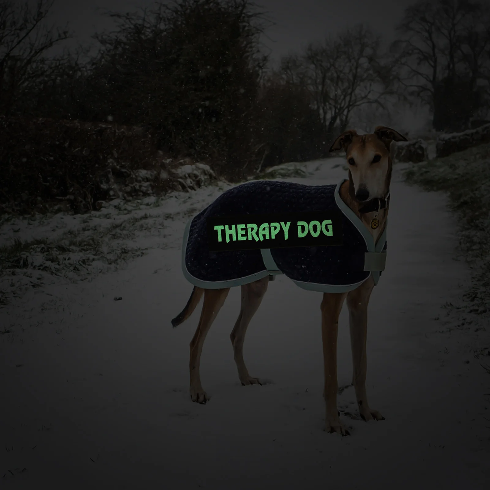 

1Pair Reflective Dog Harness Patch Service Dog Vest Patch Removable Night Walking Pet Supply Pet Supply