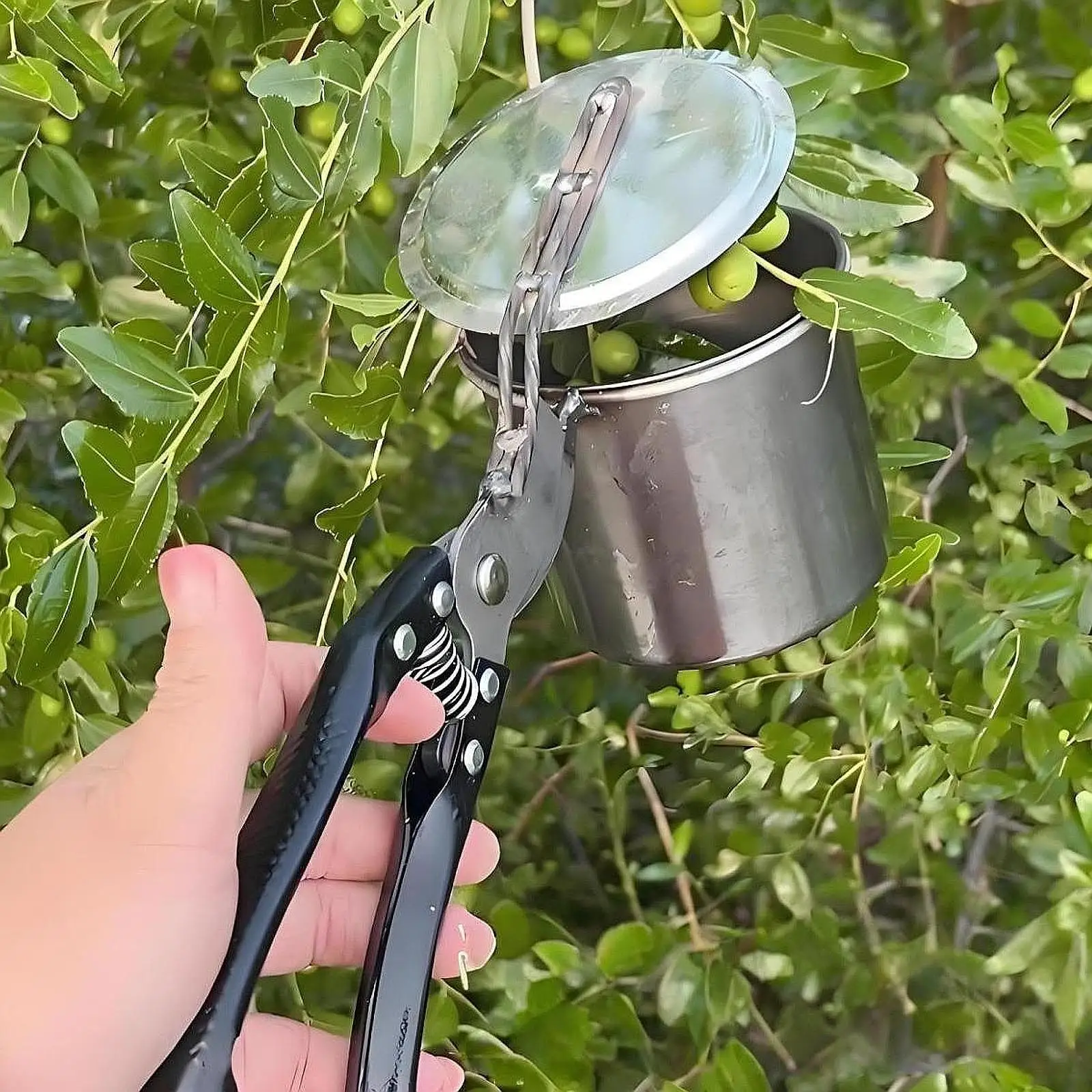 Raccoglitrice di frutta versatile pratica manuale in acciaio inossidabile per giardino agricolo