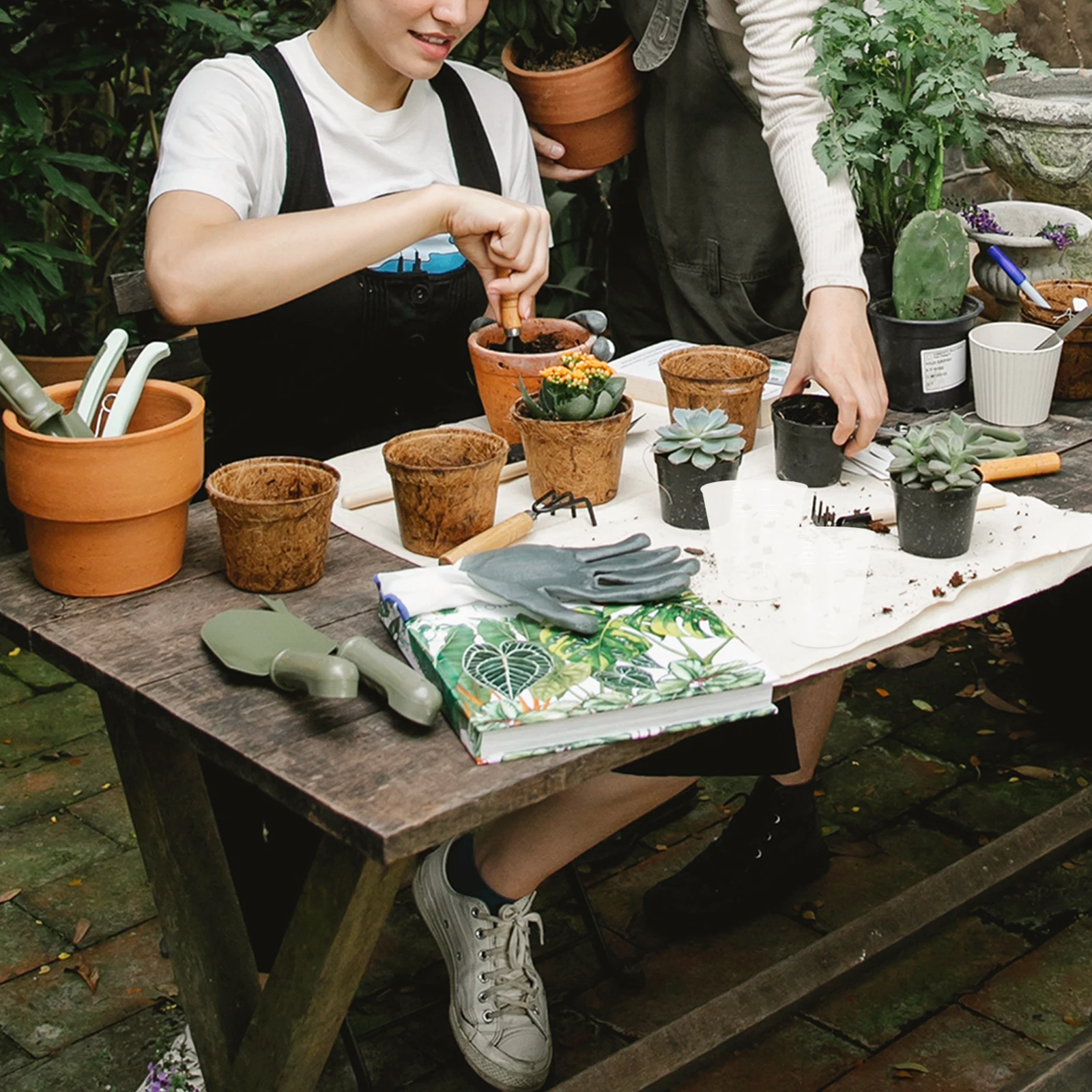 

50 Pcs Nursery Cup Clear Cups Transparent Flowerpot Small Plants Plastic Pots Planter