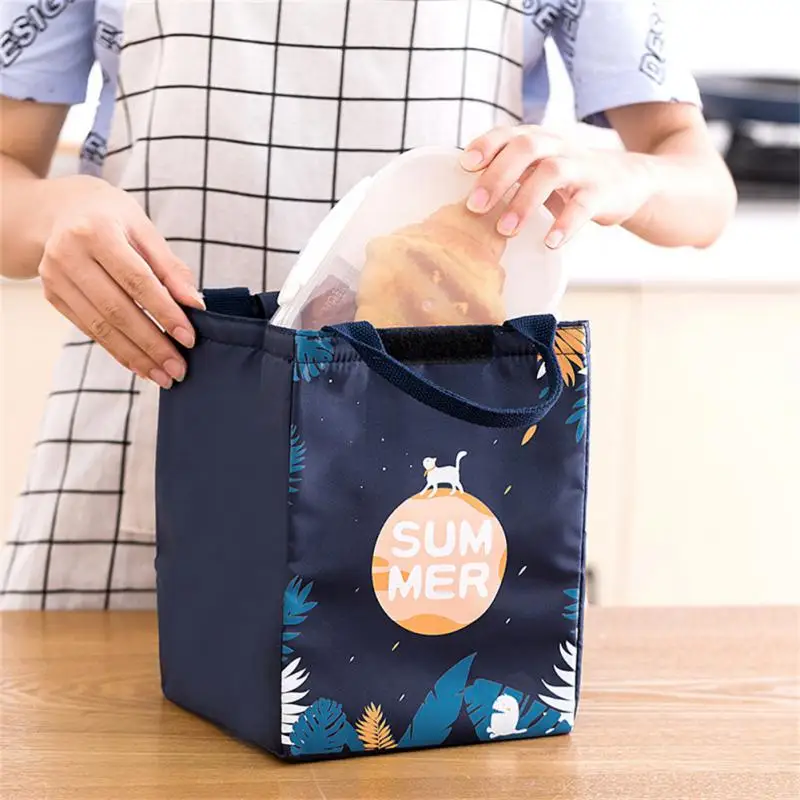 Insulated Waterproof Storage Bag Lunch Box Student Thickened Cute Lunch Bag Lunch Bag Cartoon Cooler Lunch Bag