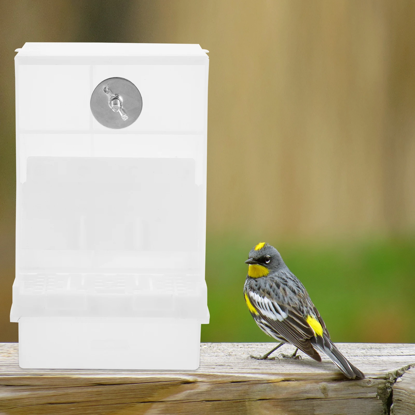 

Bird Feeder Pet Supplies Parrot Feeding Automatic Dispenser Food Container
