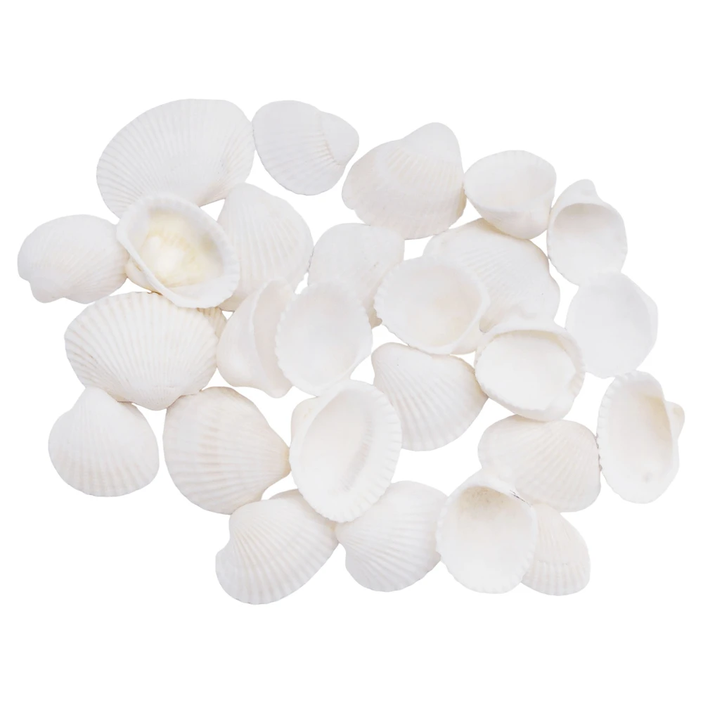 20PCS White Natural Seashell Conch Shells for DIY Crafts Cockle Shells Beach Collection Craft Supplies For Home Decor 1-3cm Size