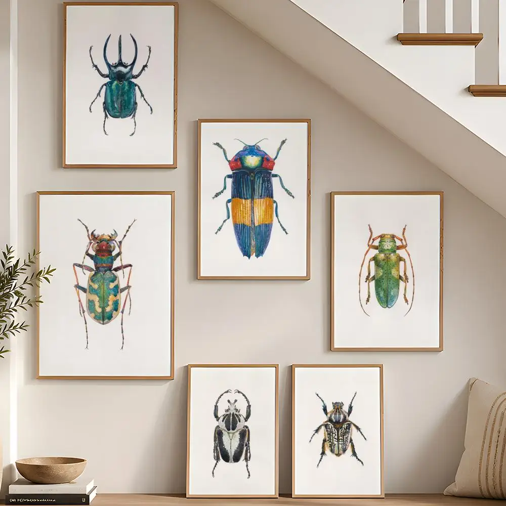 Insects Beetles Bugs Moth Chart Poster Stickers Painting Self-Adhesive Art for Bedroom Living Room Home Decor Wall Decals Gift