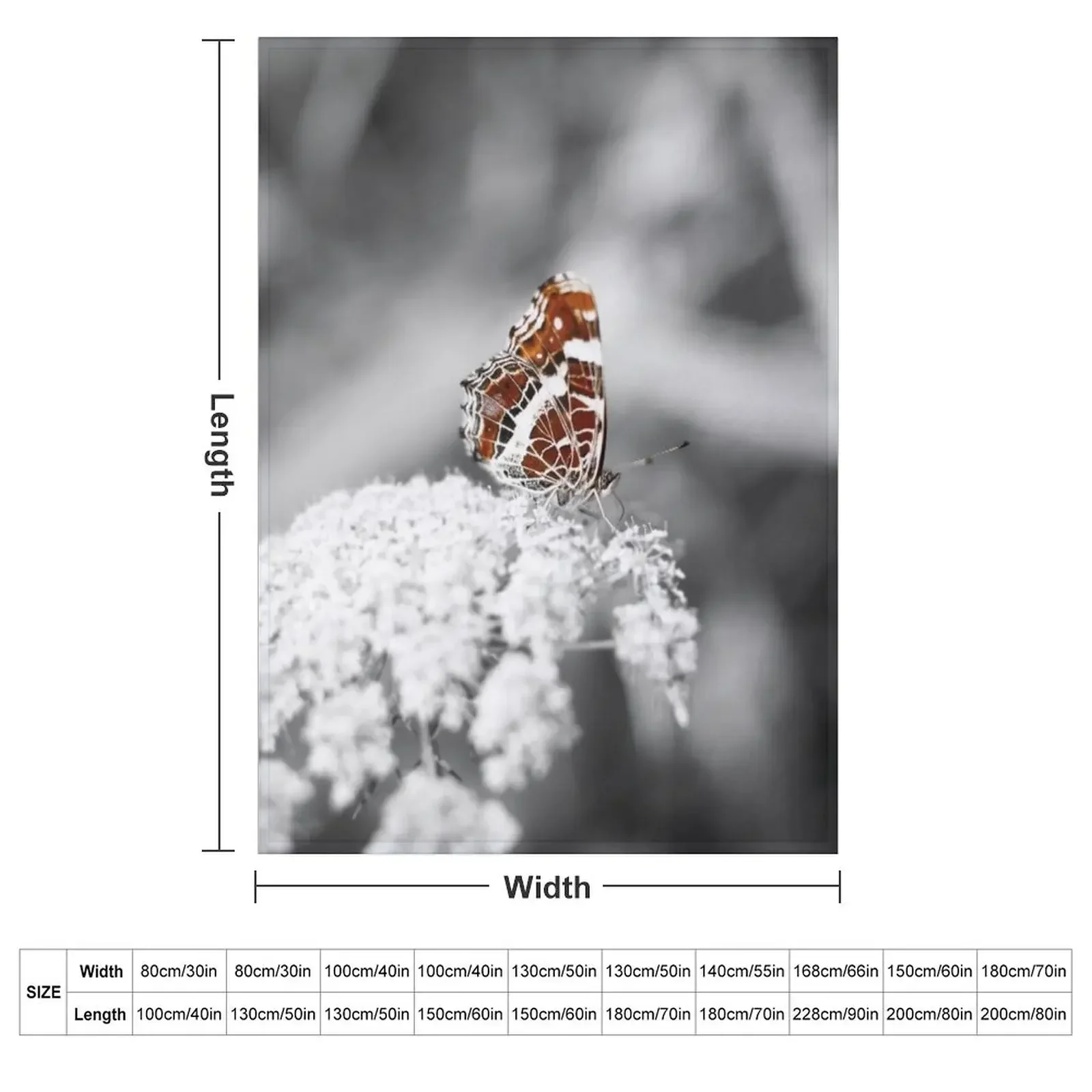 Butterfly colour isolation 1 Throw Blanket anime funny gift Flannels Baby Luxury Throw Sofa Quilt Blankets