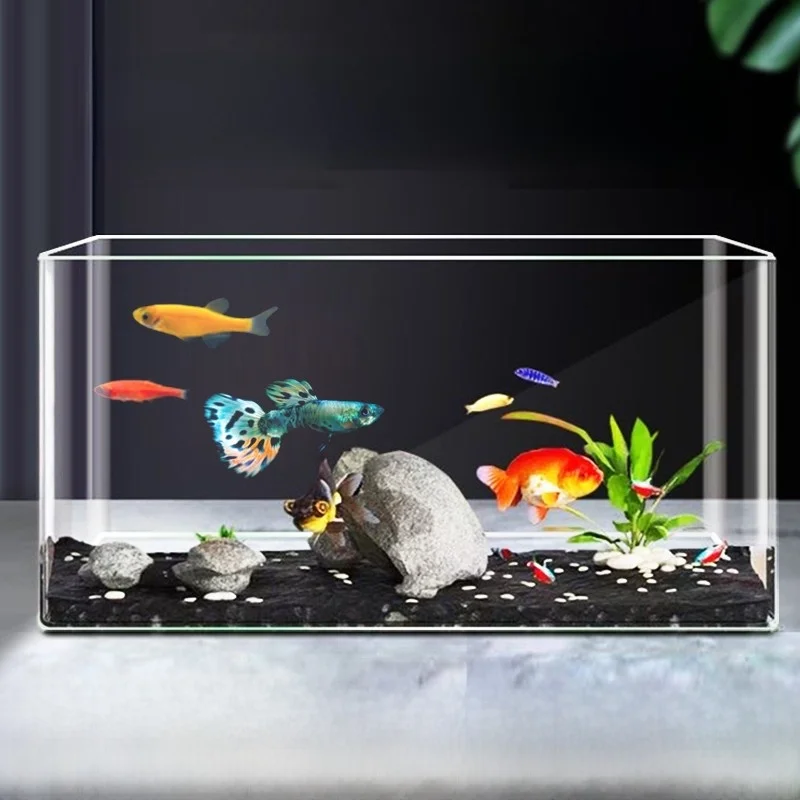 

Настольный аквариум из акрила, прямоугольный, прозрачный, имитация стекла, для дома, гостиной, малый размер, новинка 2026