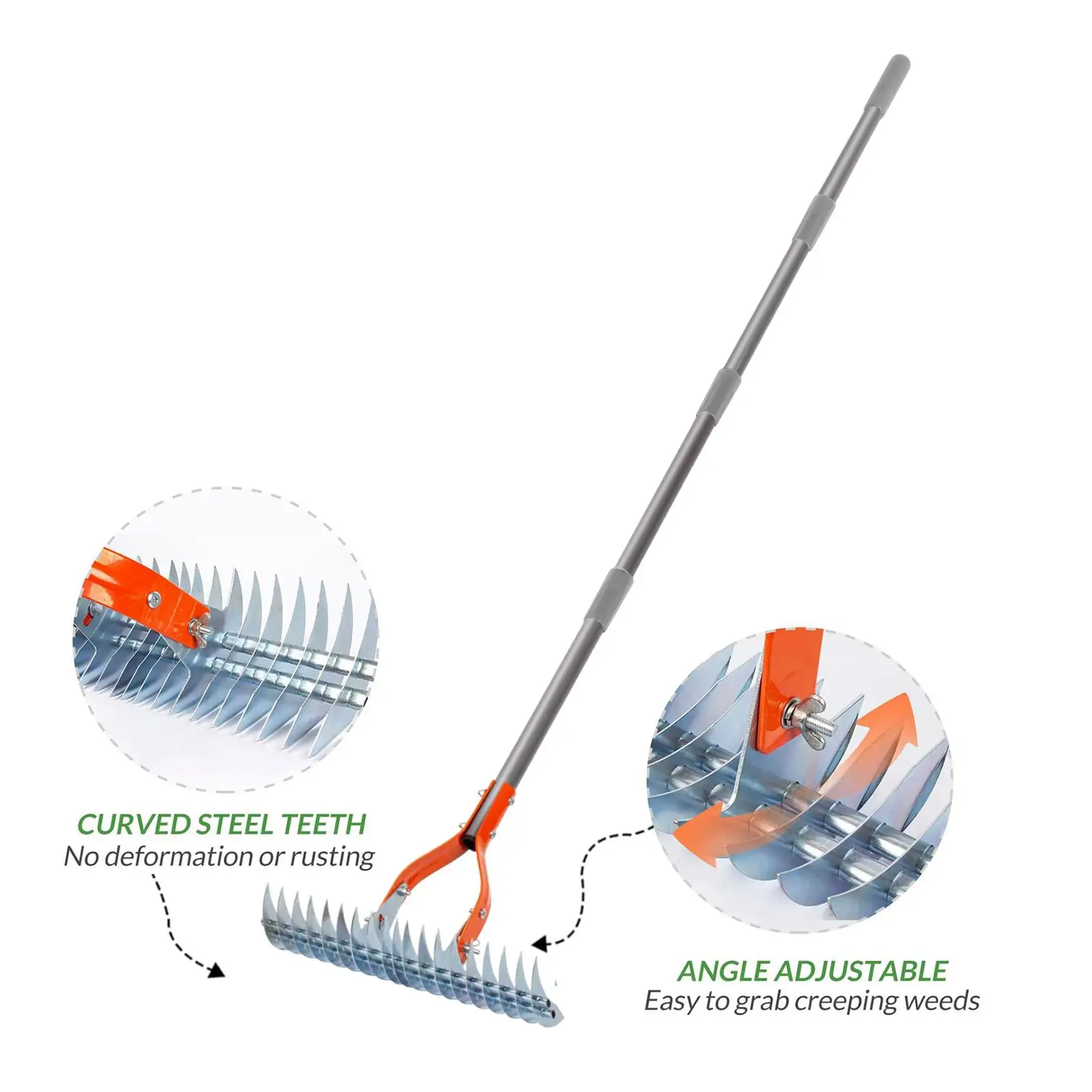 

Thatch Rake Garden Rake with Curved Steel Tines Lawn Hay Rake for Grass Grooming Dethatching Lawn Loosening Soil Cleaning Grass