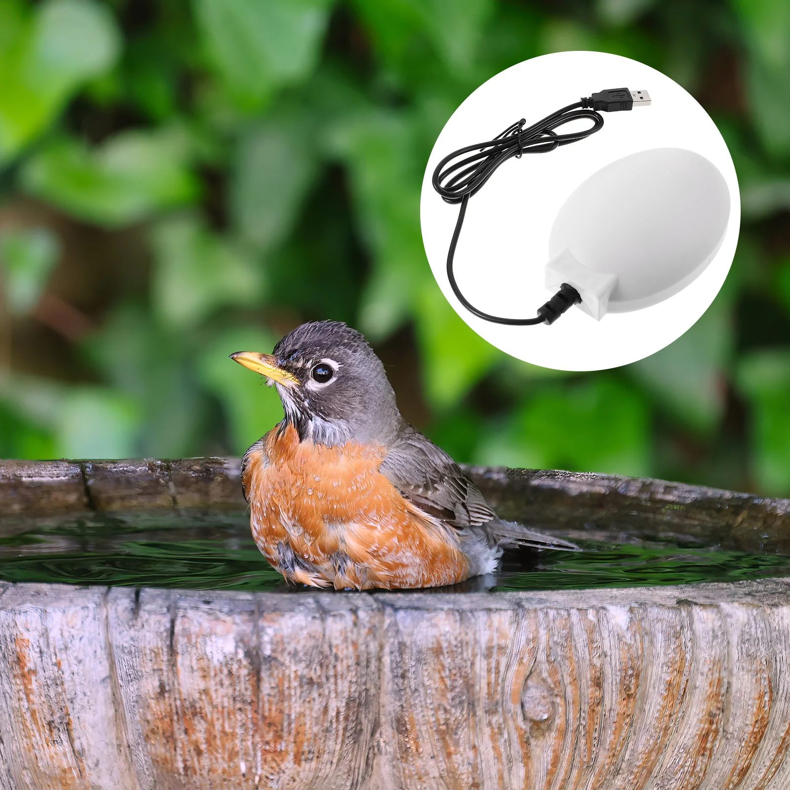 USB Parrot Bath Heater Bird Bathing Heater Useful Bird Bath Warm Heater heated bird bath