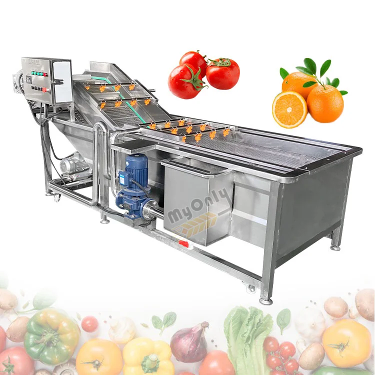 Mini Conveyor Automatic Work Fruit Apple Vegetable Washer Seaweed Leaf Bubble Wash Machine