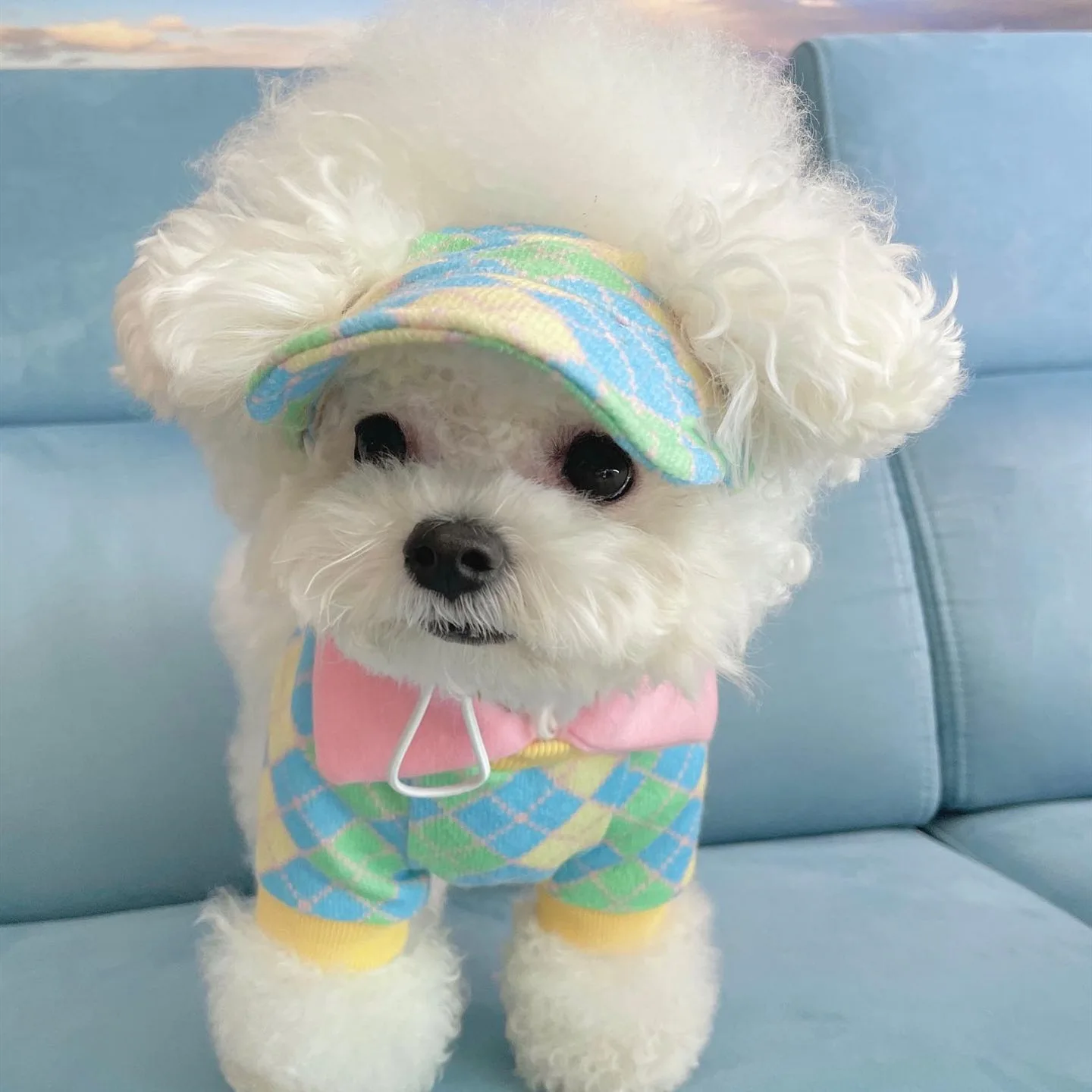 Plaid Cotton Clothes Polyester Sunhat for Puppy Dogs Comfortable Accessories Breathable Clothing Cute Pet Cat Cap Outdoor Summer