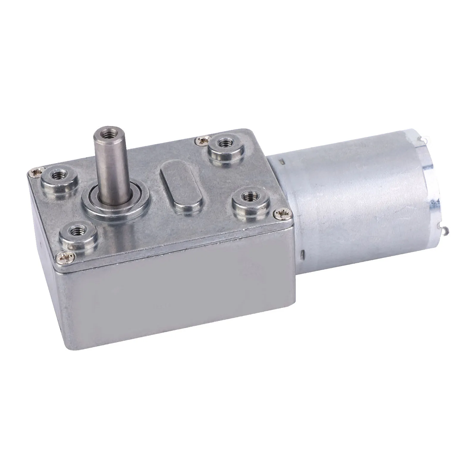 Type  Speed Reduction Motor Large Torsion Worm Gear Motor 12V for Multiple Purposes Speed Reduction Motor