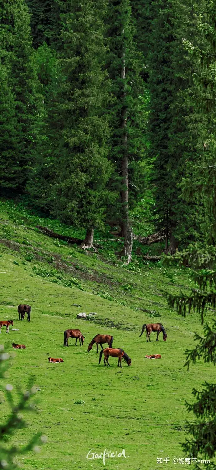 Wltoys 104006 104010 104020 104026 ชุดเกียร์เพลาพอร์ทัลทองเหลืองด้านหน้าและด้านหลัง สำหรับรถบังคับวิทยุขนาด 1/10 อะไหล่แต่ง อุปกรณ์เสริม