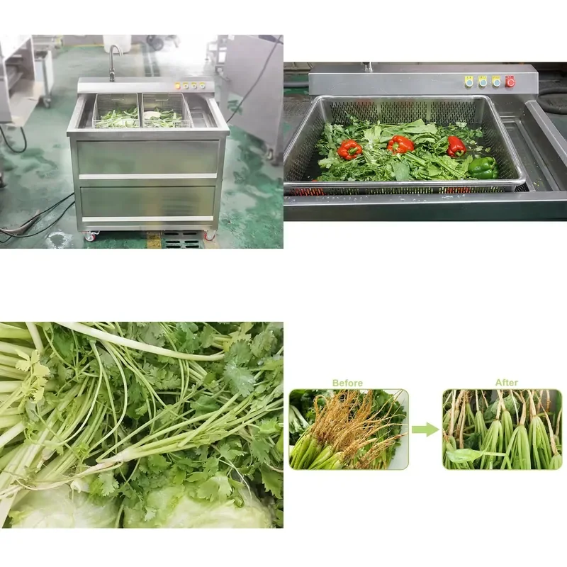 Industrial Vegetable Cleaning Machine with Ozone Bubble System for Food Processing Plant