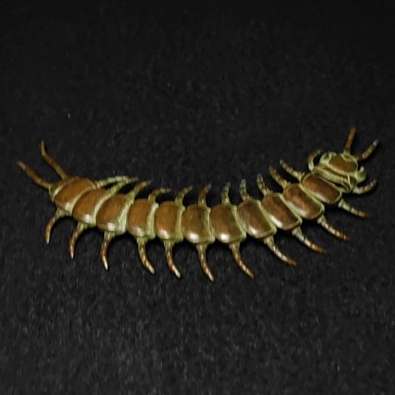 YIZHU CULTUER ART Size 14 x 3.3 cm Old Chinese Bronze hand-made mobile Centipede Statue Pendant Gift Collections
