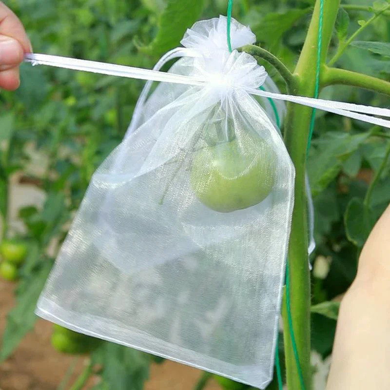 Reathable 50Pcs Grapes Fruit Protection Bags Pest Control Anti-Bird Garden Netting Bags Mesh Agricultural Tree Garden Tool Bags