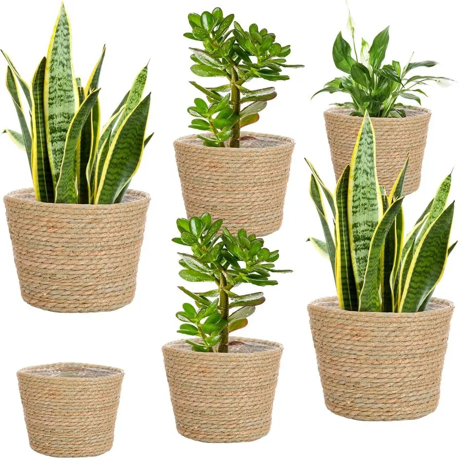

6 Pcs Seagrass Planter Basket Flower Pots Cover Plant Baskets Hand Woven Plant Basket Storage Containers with Plastic Liners for