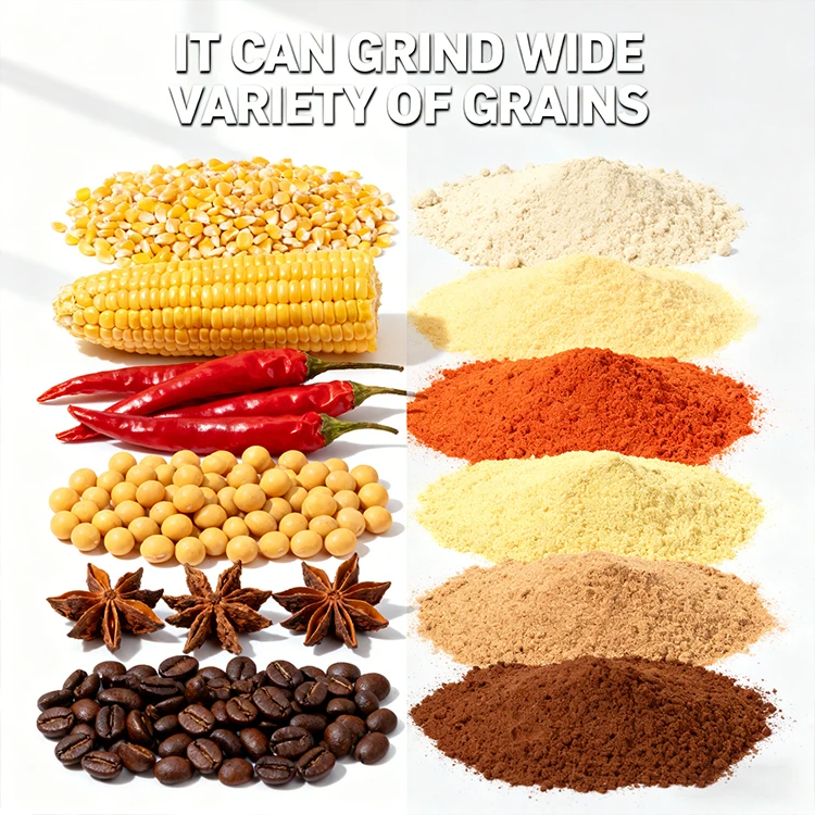 Electric Animal & Poultry Feed Grinder/Shredder High Productivity 300Kg/h Mill Machine for Livestock