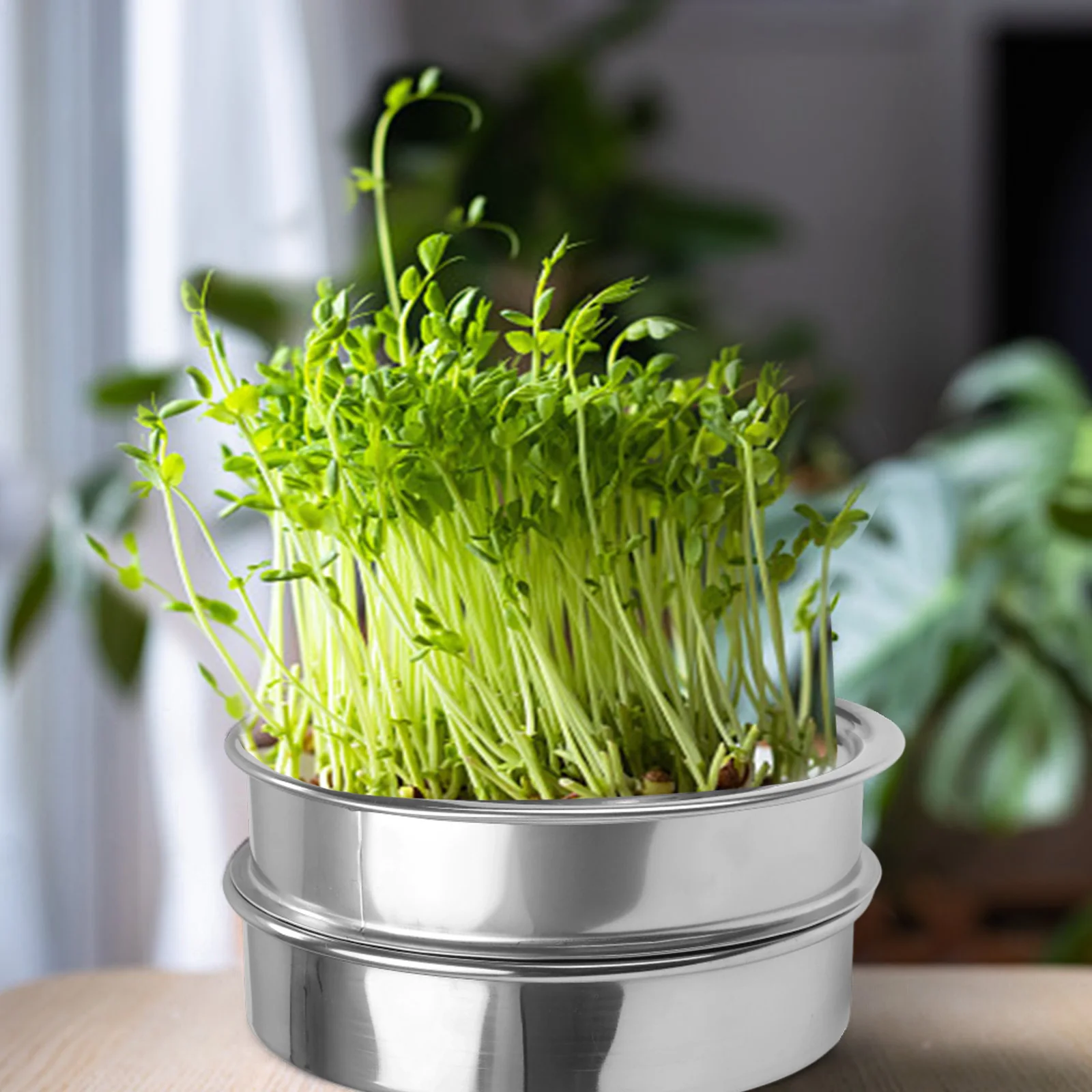 

Sprouting Tray Efficient Drainage System Soil-Free Germination Excellent Air Circulation Innovative 2 3-Tier Design