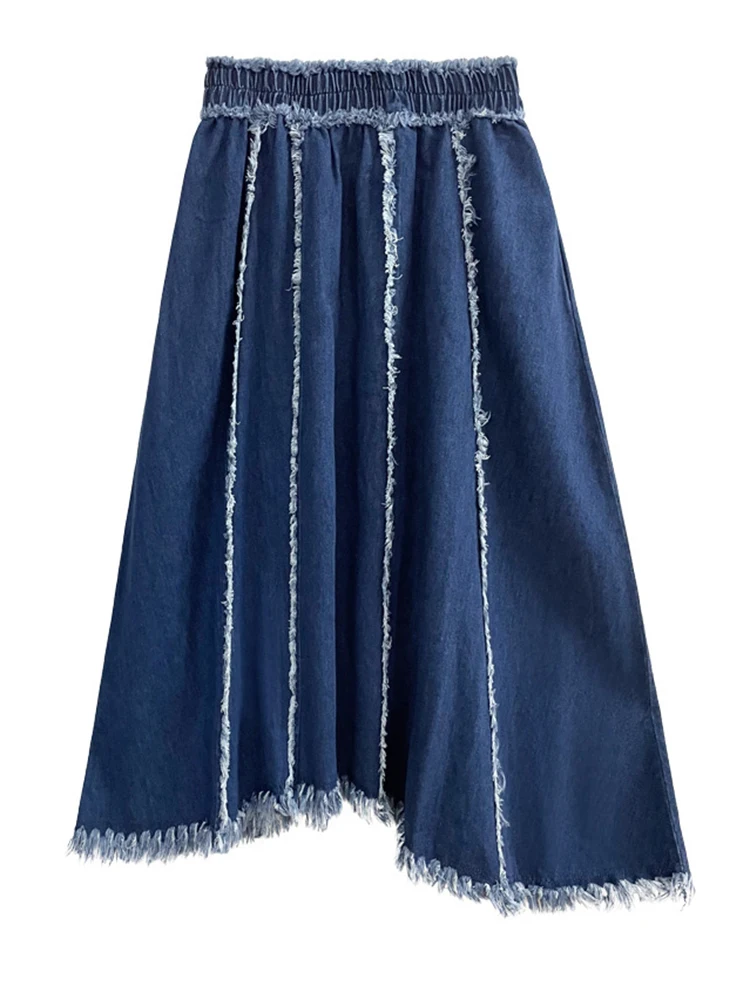 [EAM] High Elastic Waist Black Vintage Tassels Denim A-line Half-body Skirt Women Fashion Tide New Spring Autumn 2024 1DF6035