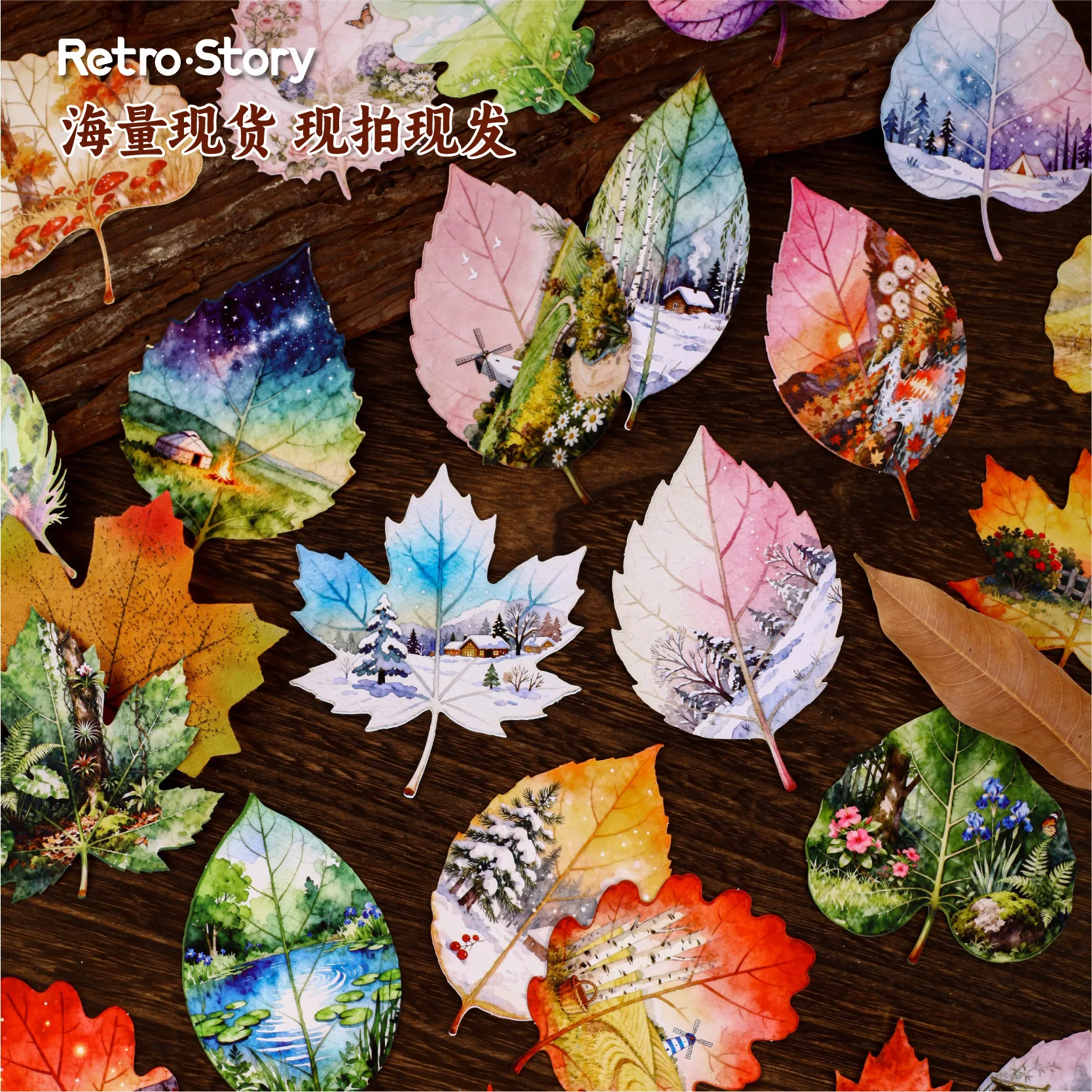 8pcs/1lot Kawaii Stationery Stickers Observing leaves Diary 