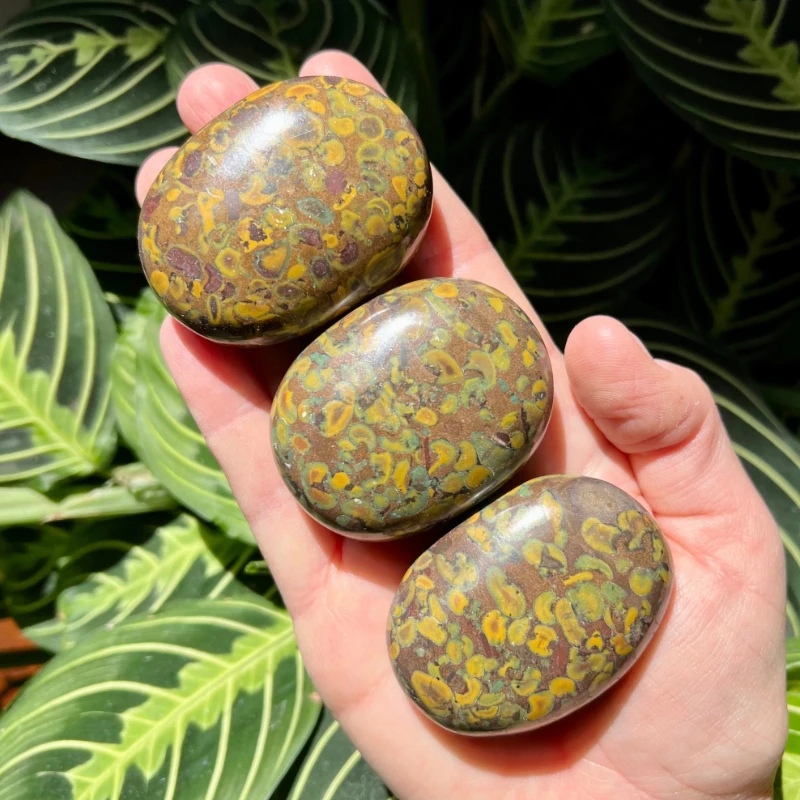 1pc Natural Fruit Jasper Palm Stone, Featuring Polished Surfaces And Distinctive Patterns