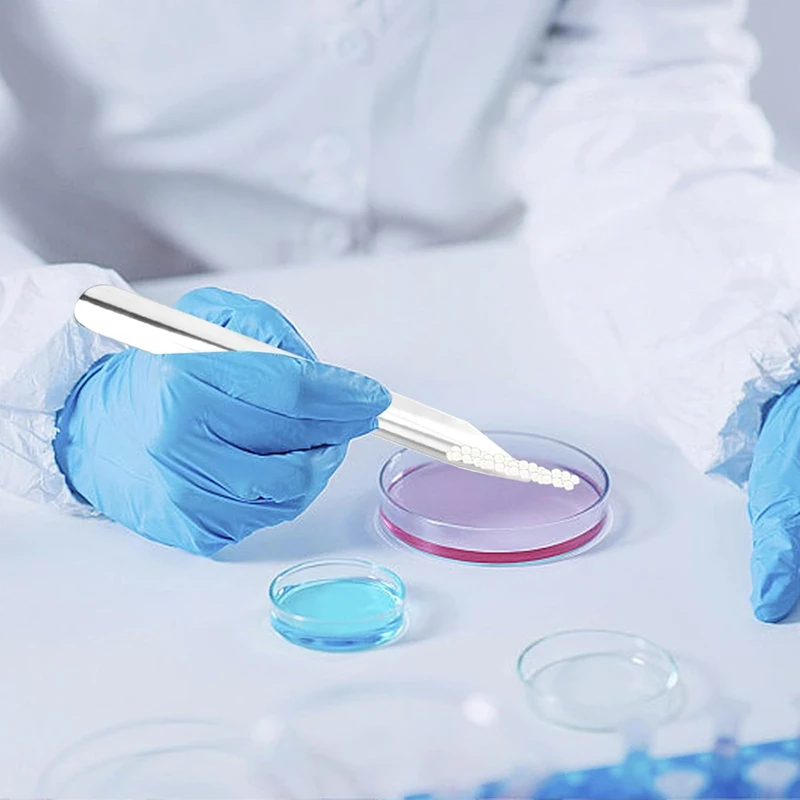 16 Pieces Stainless Steel Lab Spatula Fortransferring Scooping Mixing Powders Pastes Classrooms Laboratory Tool