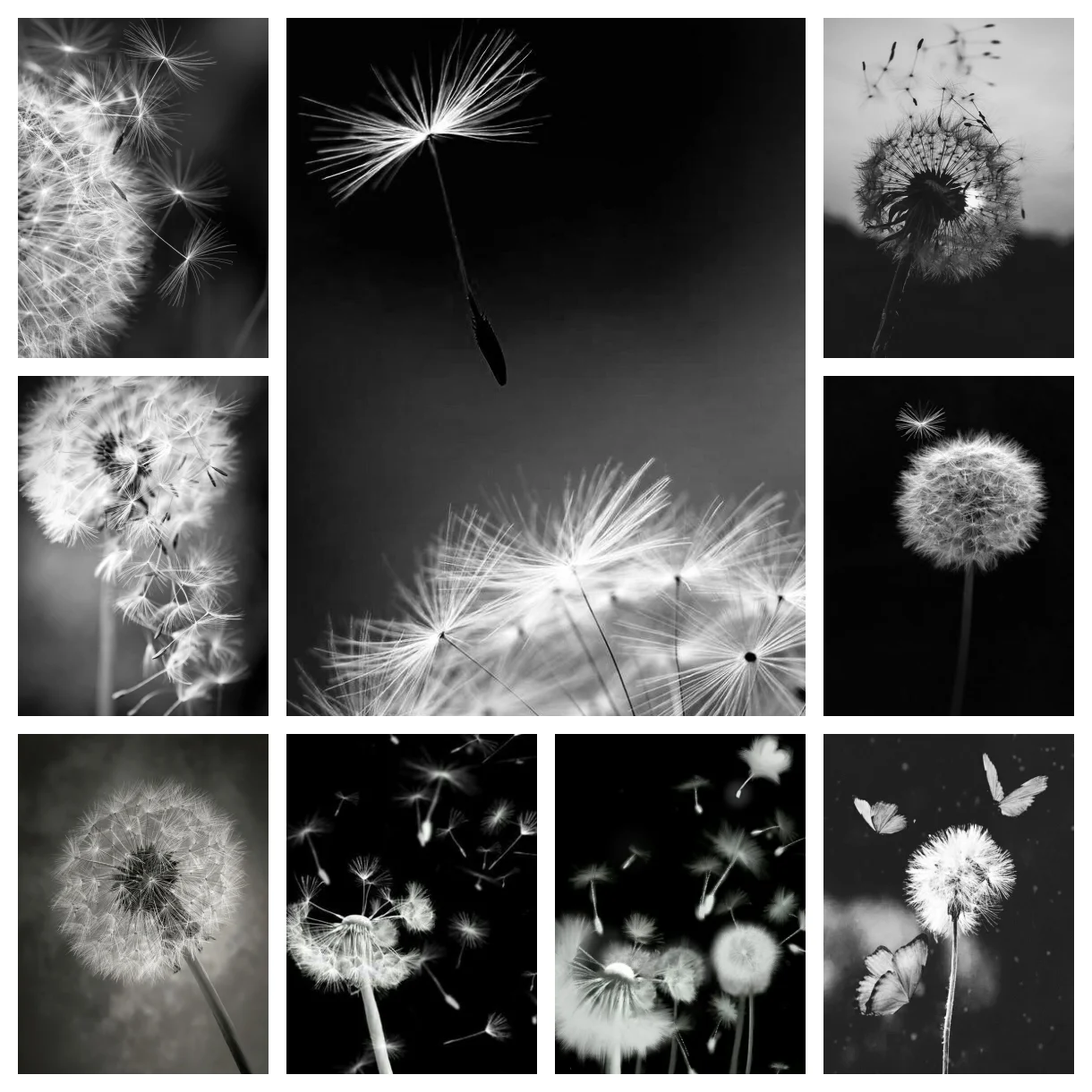 

DIY AB diamond painting cross stitch black and white picture rhinestone dandelion mosaic home decoration gift