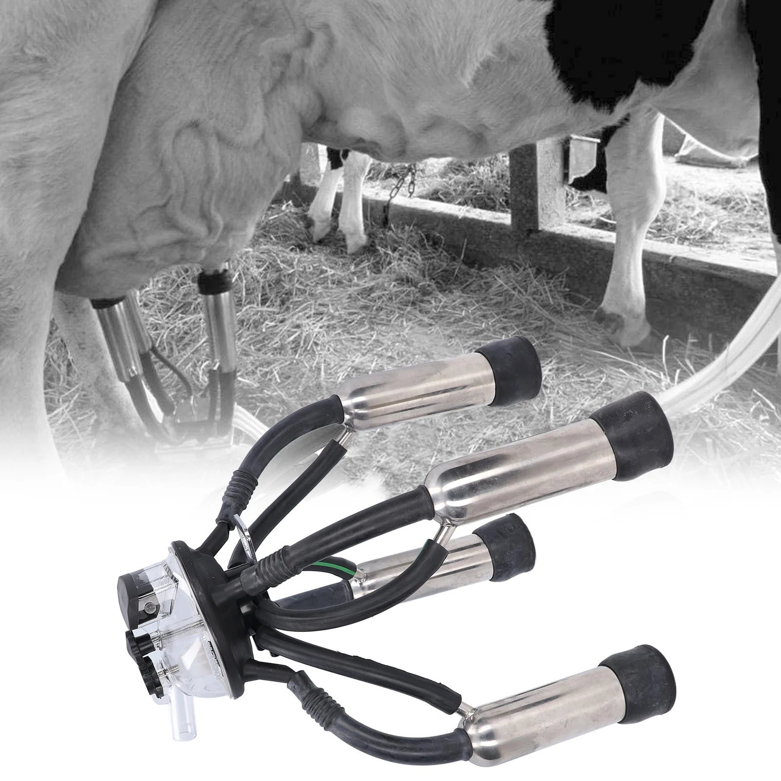 

Набор доильных чашек для доения, набор доильных чашек для коров, силиконовый набор чашек из нержавеющей стали из нержавеющей стали для вакуумного насоса, машины для молока