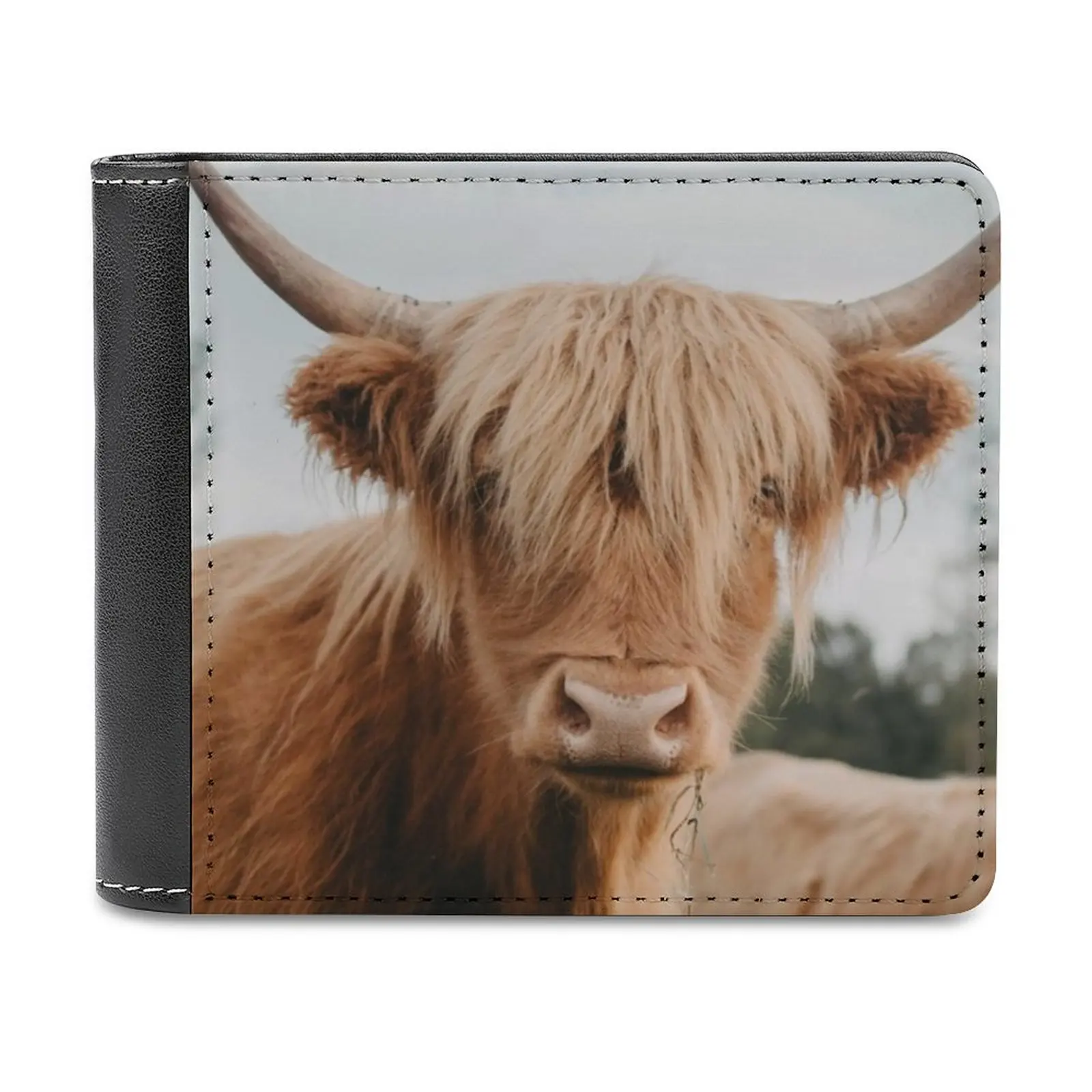 Curious Highland Cow Business Men Wallets Small Money Purses New Design Dollar Price Top Wallet Cow Highland Highland Cow