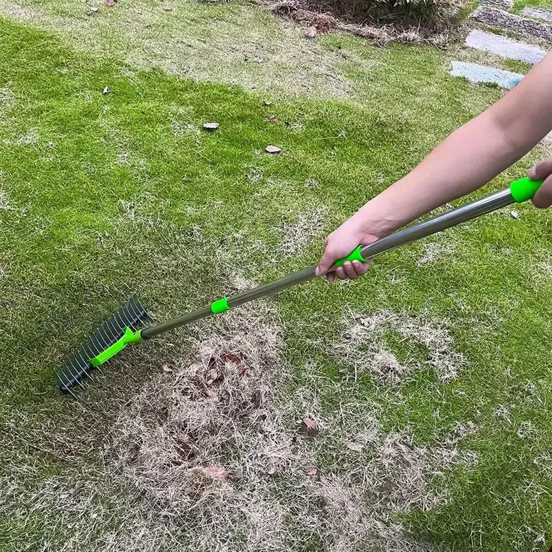 Imagem -02 - Ancinho de Palha de Aço Resistente ao Desgaste Grama de Mão de Jardim Solo de Pinho Decíduo de Feno Ferramentas Agrícolas de Jardinagem