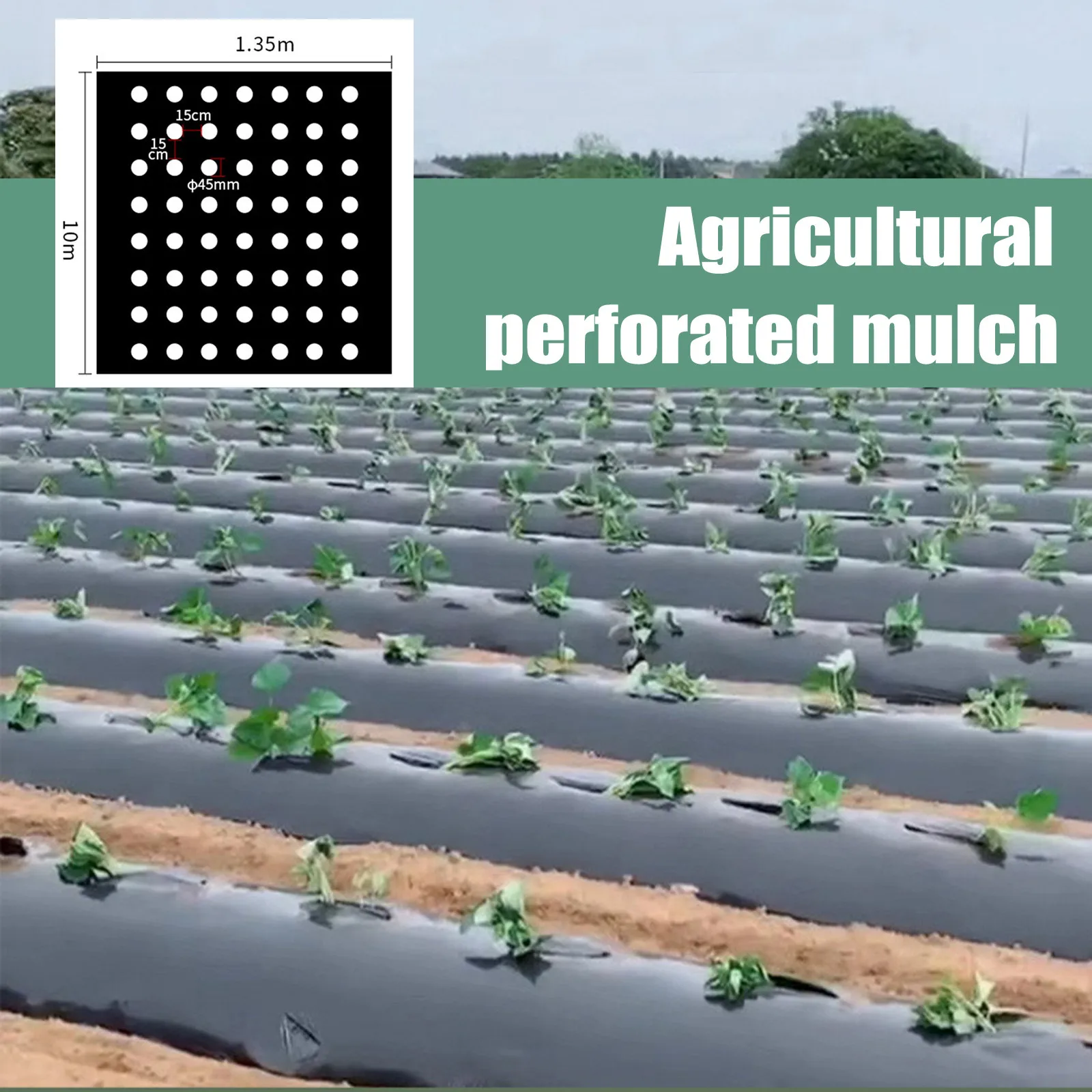 

Agriculture Mulch Pre-PUnched Hole Plastic Film Plants Film Perforated Mulch Anti Grass Home Garden Pe Vegetable Ground Cover