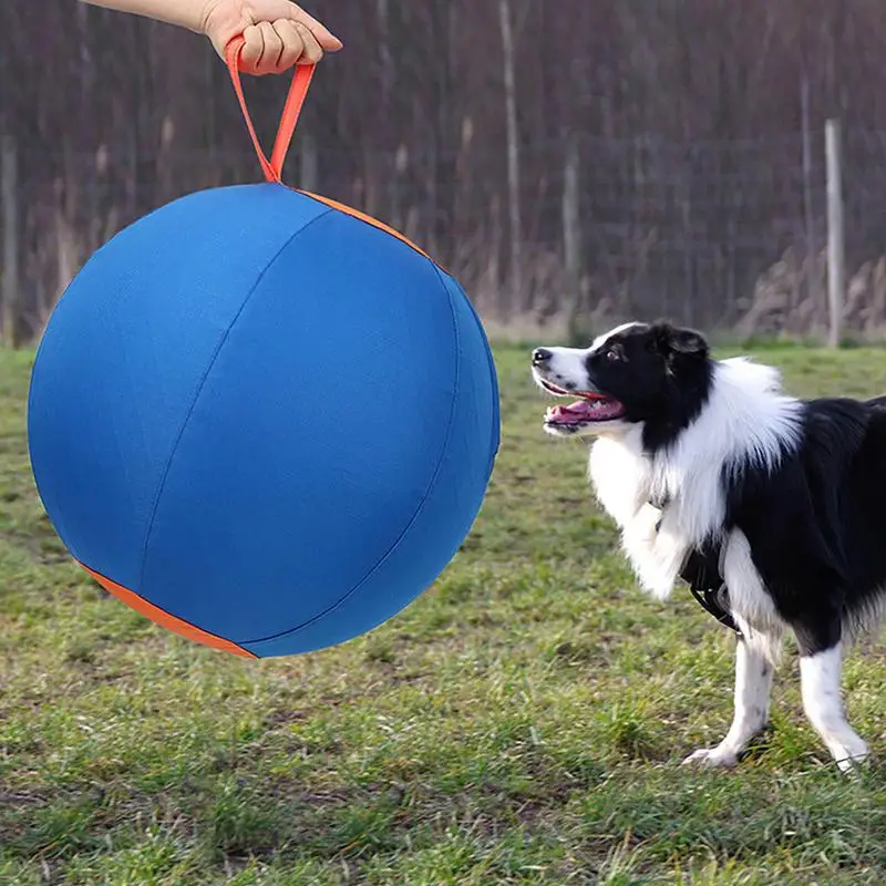 Outdoor Dog Ball Toy Outdoor Puppy Inflatable Balls Blue Wear-Resistant Pet Balls Dog Enrichment Toy For Parks Lawns Courtyards