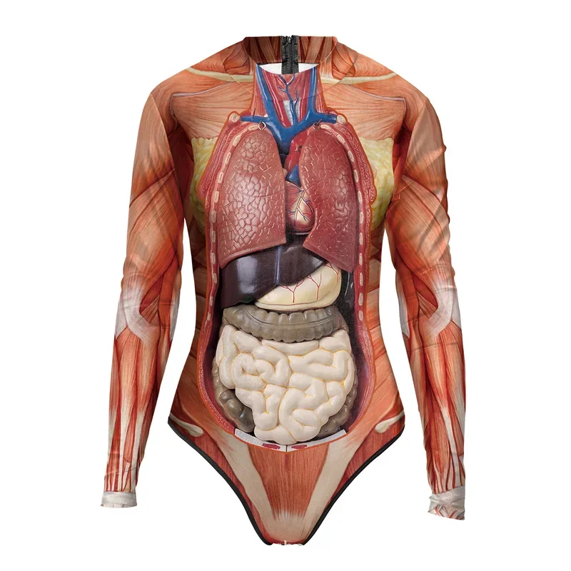 여성용 인체 구조 조직 점프슈트, 인체 몸통, 해부학 기구, 할로윈 파티, 멋진 수영복, 젠타이 세트