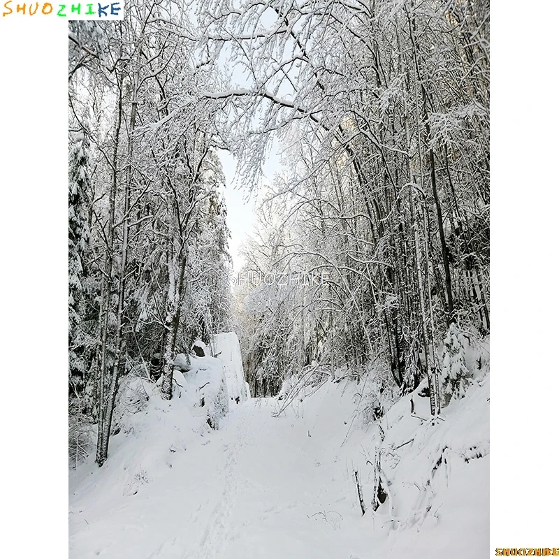 قطرات خلفية للتصوير الفوتوغرافي للغابات الشتوية ، طريق مغطى بالثلوج ، ندف الثلج ، أشجار التنوب ، خلفية الصورة ،