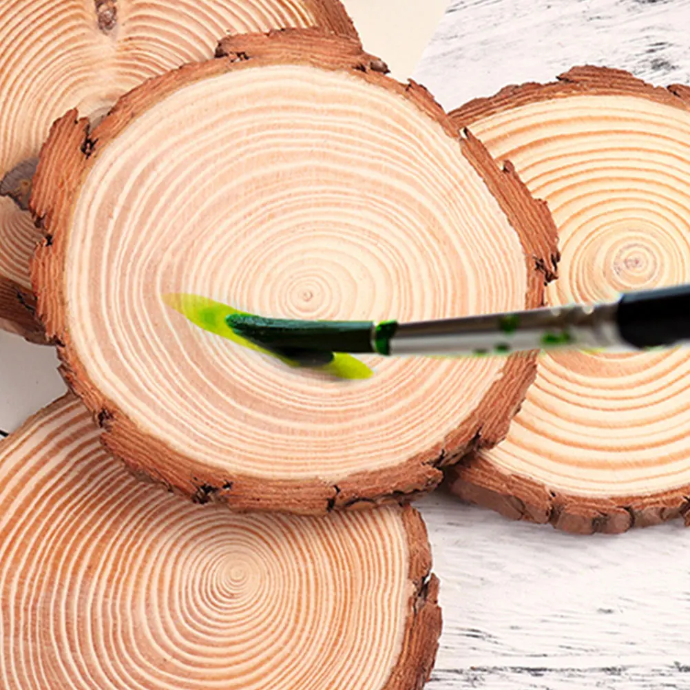 

6pcs Unpainted Round Wood Slices Discs Coasters Craft DIY Home Decor Wooden Round Discs Wooden Projects