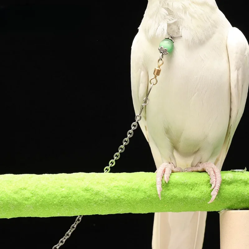 Parrot Neck Rings Stainless Steel Material Cockatiel Budgerigar Peony Parrot Bird Chain Walking Flying Training Neck Ring Foot