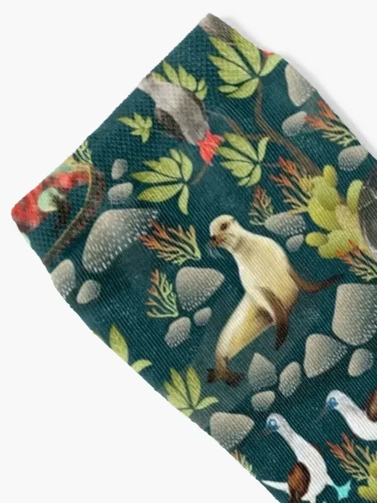 Galapagos Island Socks Novelties Hiking boots fashionable christmass gift Men Socks Women's