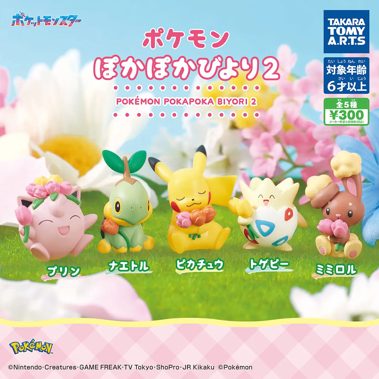 Original Anime Pokemon Warm Spring Sun V2 Toys Jigglypuff Turtwig Buneary Togepi Capsule Toys Cartoon Figure Model Xmas Gifts view 2
