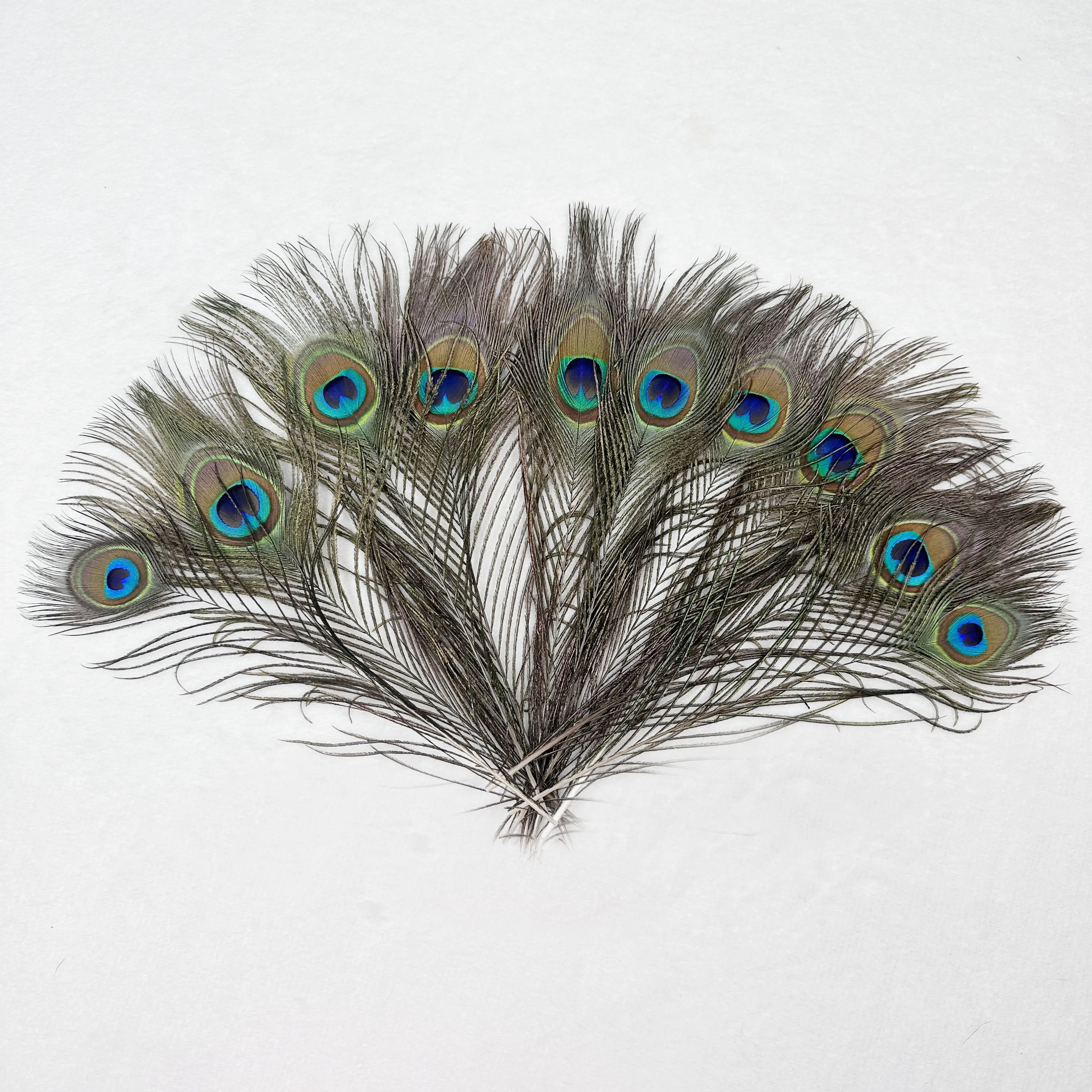 50 sztuk/partia Naturalne pióra pawie długość 40-45cm 25-30cm Hurtownia ślubna rękodzieło dekoracje do domu hotelu